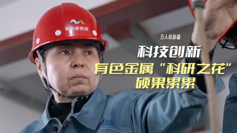 软件测试工程师的工具链演进与选型逻辑